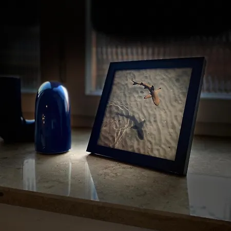 Apartamento Sea Dreams L Design-ferienwohnung #octopus Seapearl - Am Hauptbahnhof