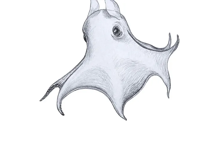 公寓 Sea Dreams L Design-ferienwohnung #octopus Seapearl - Am Hauptbahnhof 什未林